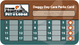 Daycare Perks at Baltimore